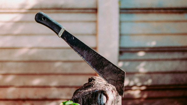 2024 Begins with Massive Journalism Layoffs